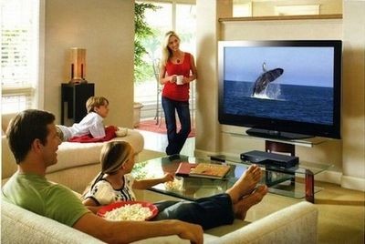 Чем вреден телевизор и можно ли без него обойтись
