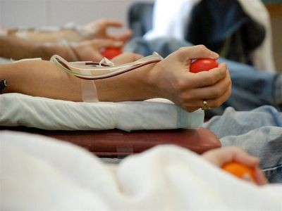 Доноры крови: что они дают и что получают