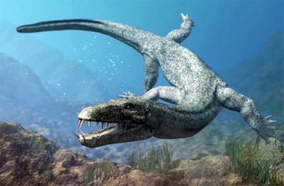 Гигантский нотозавр стал первым суперхищником в морях пангеи