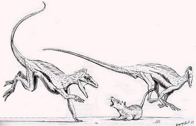 Ядовитые шпоры млекопитающих царапали голодных динозавров