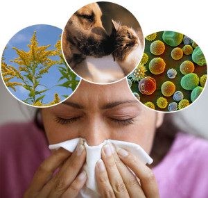 Как быстро справиться с аллергическим насморком