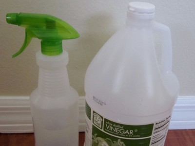 Как очистить душ легко и эффективно