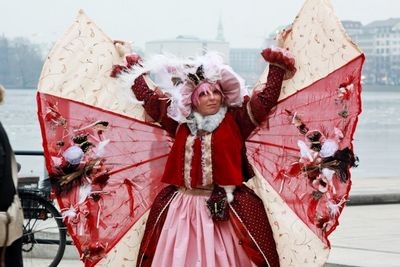 Как проходит карнавал культур мира в гамбурге