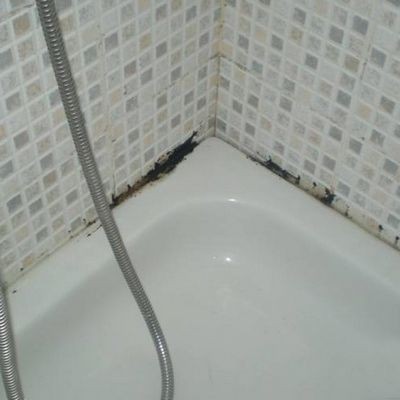 Как устранить плесень в ванной комнате
