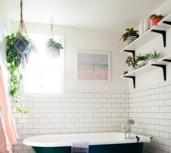 Как выбрать растение для ванной комнаты, которое нехватку света и температуру