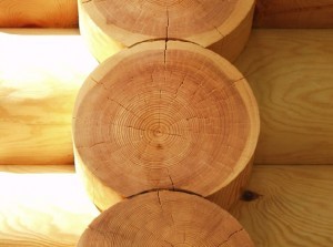 Как защитить древесину? средства и методы.