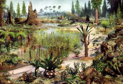 Мезозойская европа была раем для крокодилов