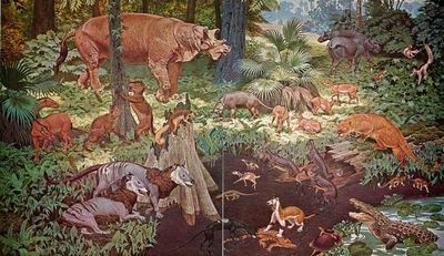 Палеогеновая индия была рассадником эволюции