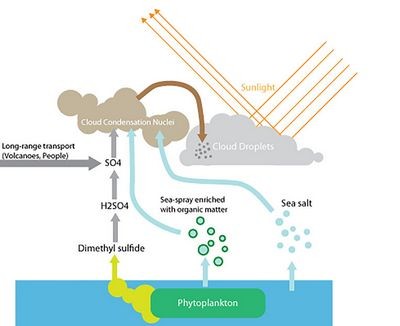 Половина облаков земли порождена дыханием планктона в океанах