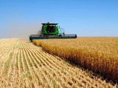 Программа «агробизнес-2020» в казахстане может провалиться