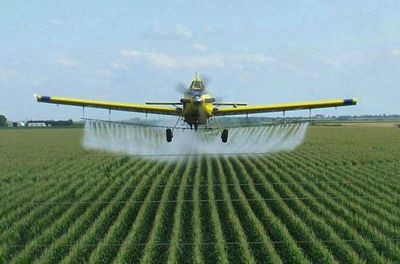 С пестицидами надо быть осторожнее